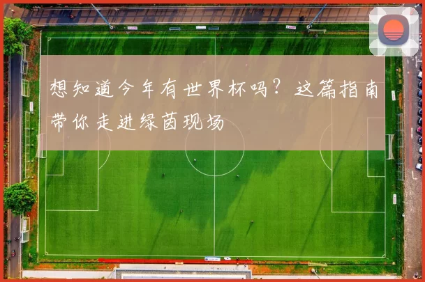 想知道今年有世界杯吗?这篇指南带你走进绿茵现场