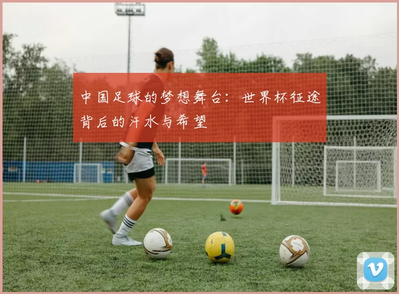 中国足球的梦想舞台：世界杯征途背后的汗水与希望