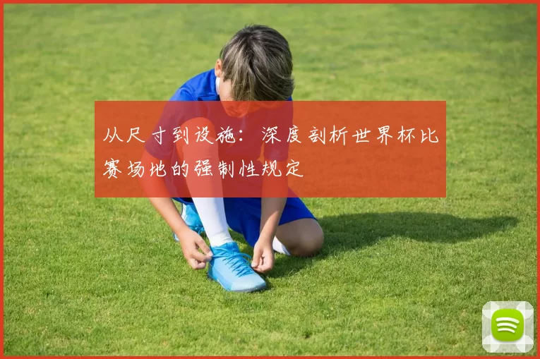 从尺寸到设施：深度剖析世界杯比赛场地的强制性规定