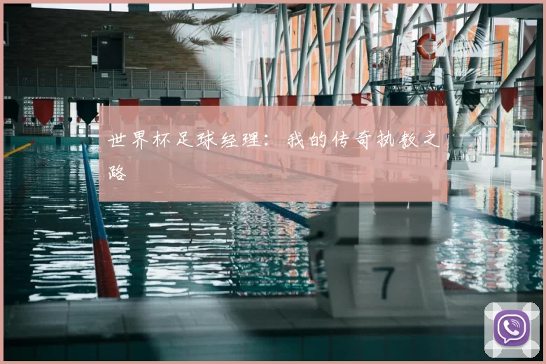 世界杯足球经理：我的传奇执教之路