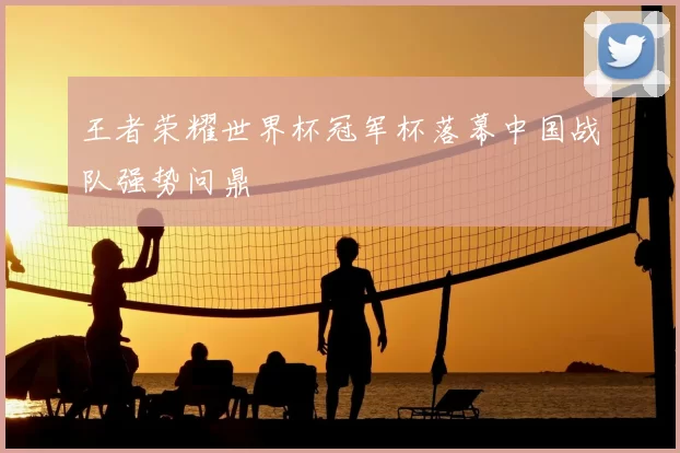 王者荣耀世界杯冠军杯落幕中国战队强势问鼎