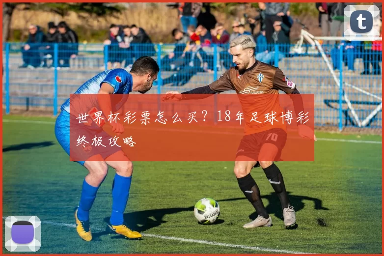 世界杯彩票怎么买?18年足球博彩终极攻略