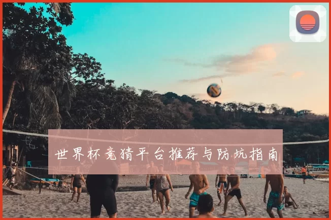 世界杯竞猜平台推荐与防坑指南