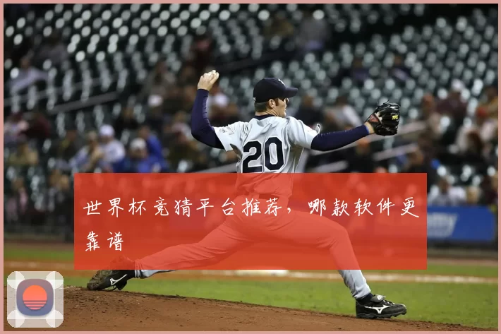世界杯竞猜平台推荐，哪款软件更靠谱