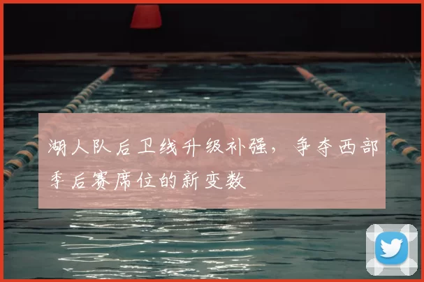 湖人队后卫线升级补强,争夺西部季后赛席位的新变数