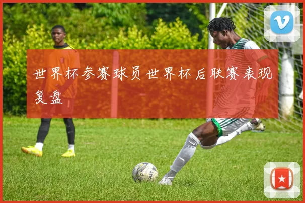 世界杯参赛球员世界杯后联赛表现复盘