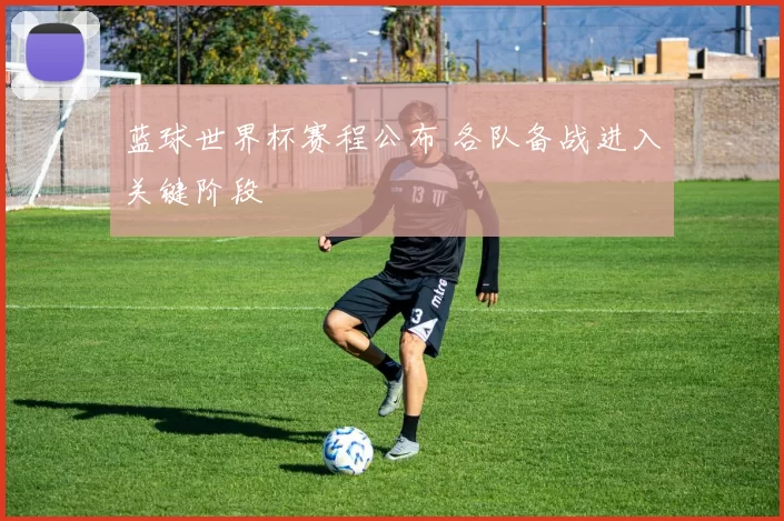 蓝球世界杯赛程公布 各队备战进入关键阶段