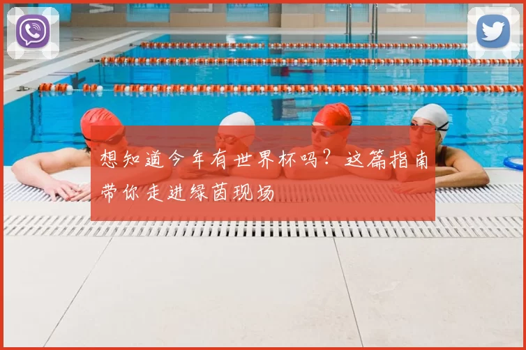 想知道今年有世界杯吗？这篇指南带你走进绿茵现场